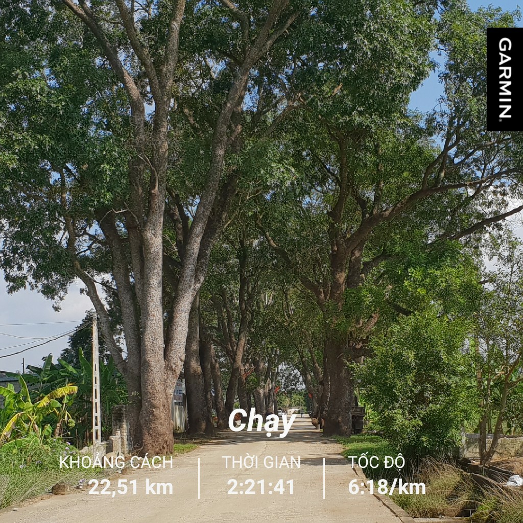 Bài viết của tôi