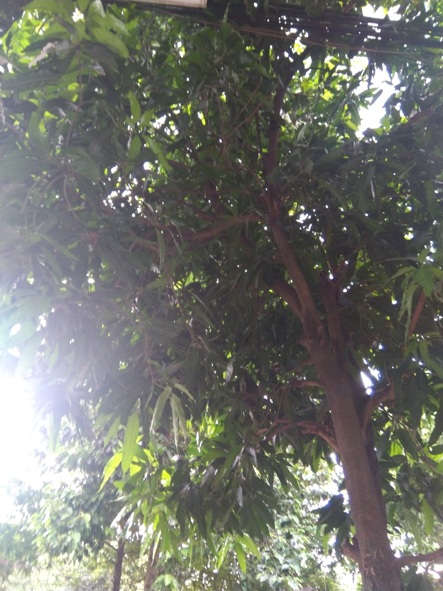 Bài viết của tôi