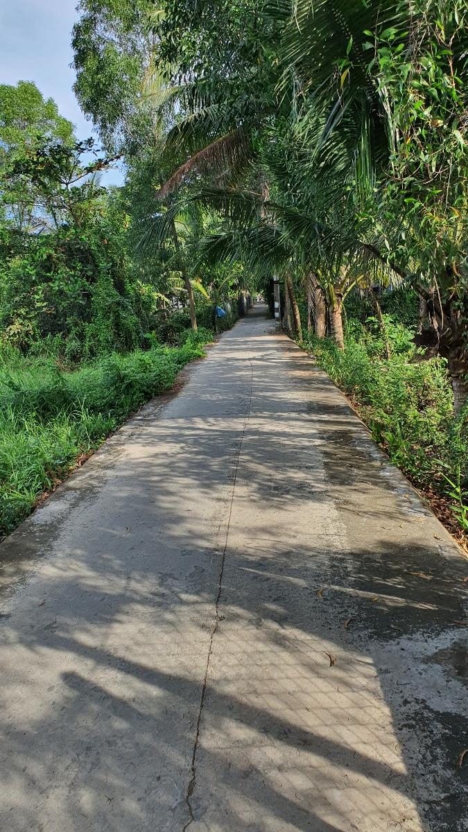 Bài viết của tôi