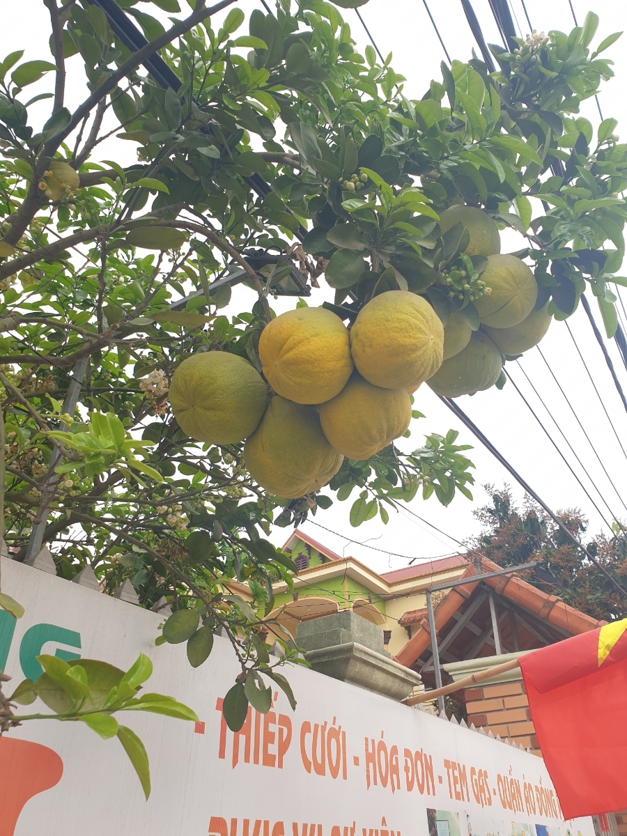 Bài viết của tôi