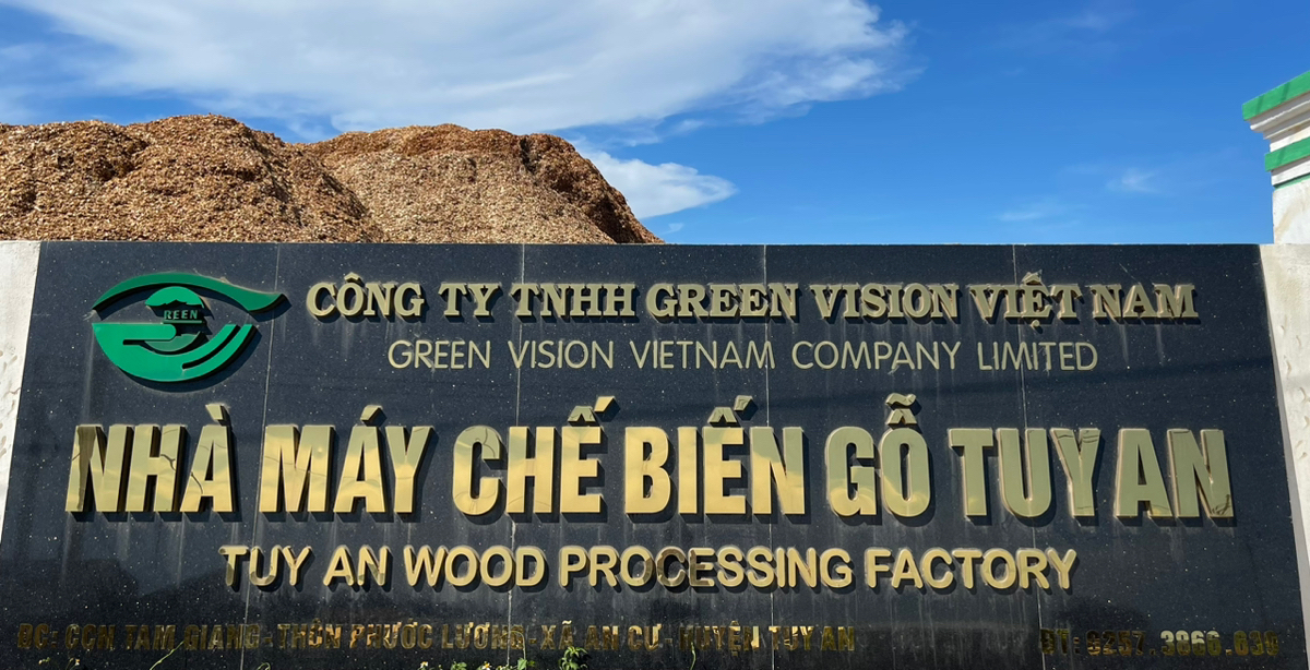Bài viết của tôi