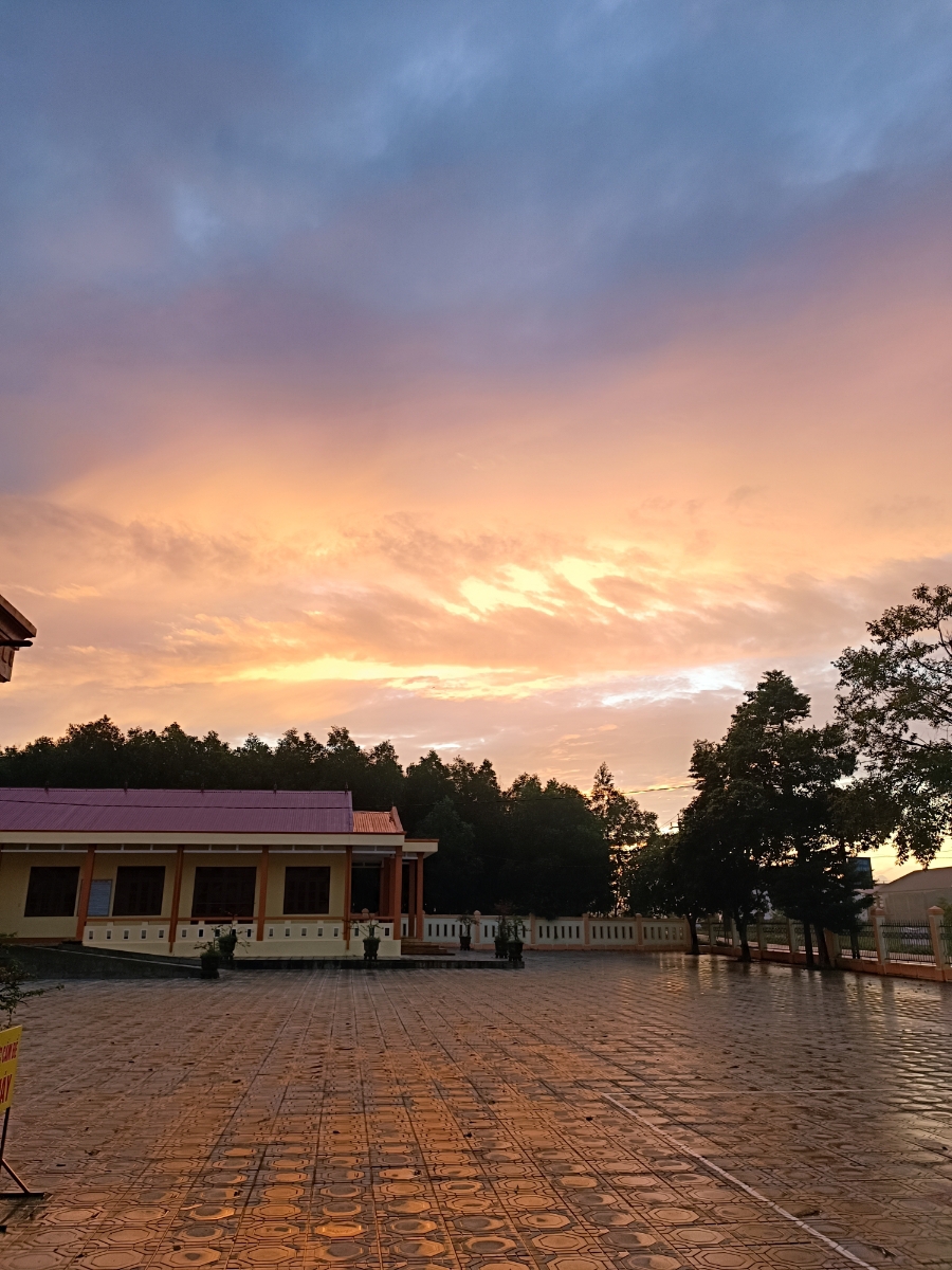Bài viết của tôi