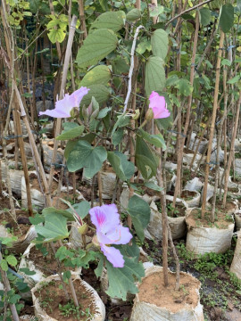 Bài viết của tôi