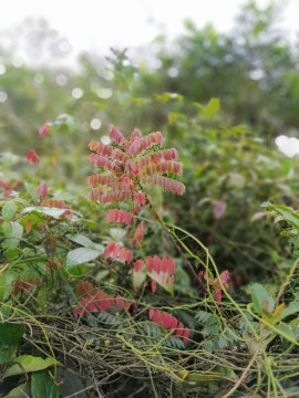Bài viết của tôi