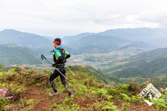 Bài viết của tôi