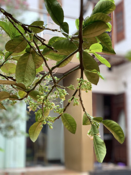 Bài viết của tôi