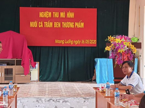 Bài viết của tôi