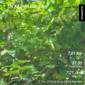 Bài viết của tôi