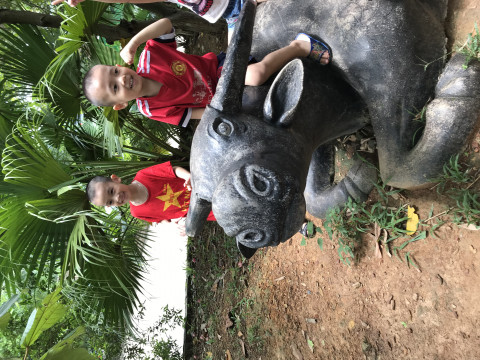 Bài viết của tôi