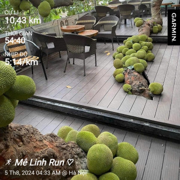 Bài viết của tôi