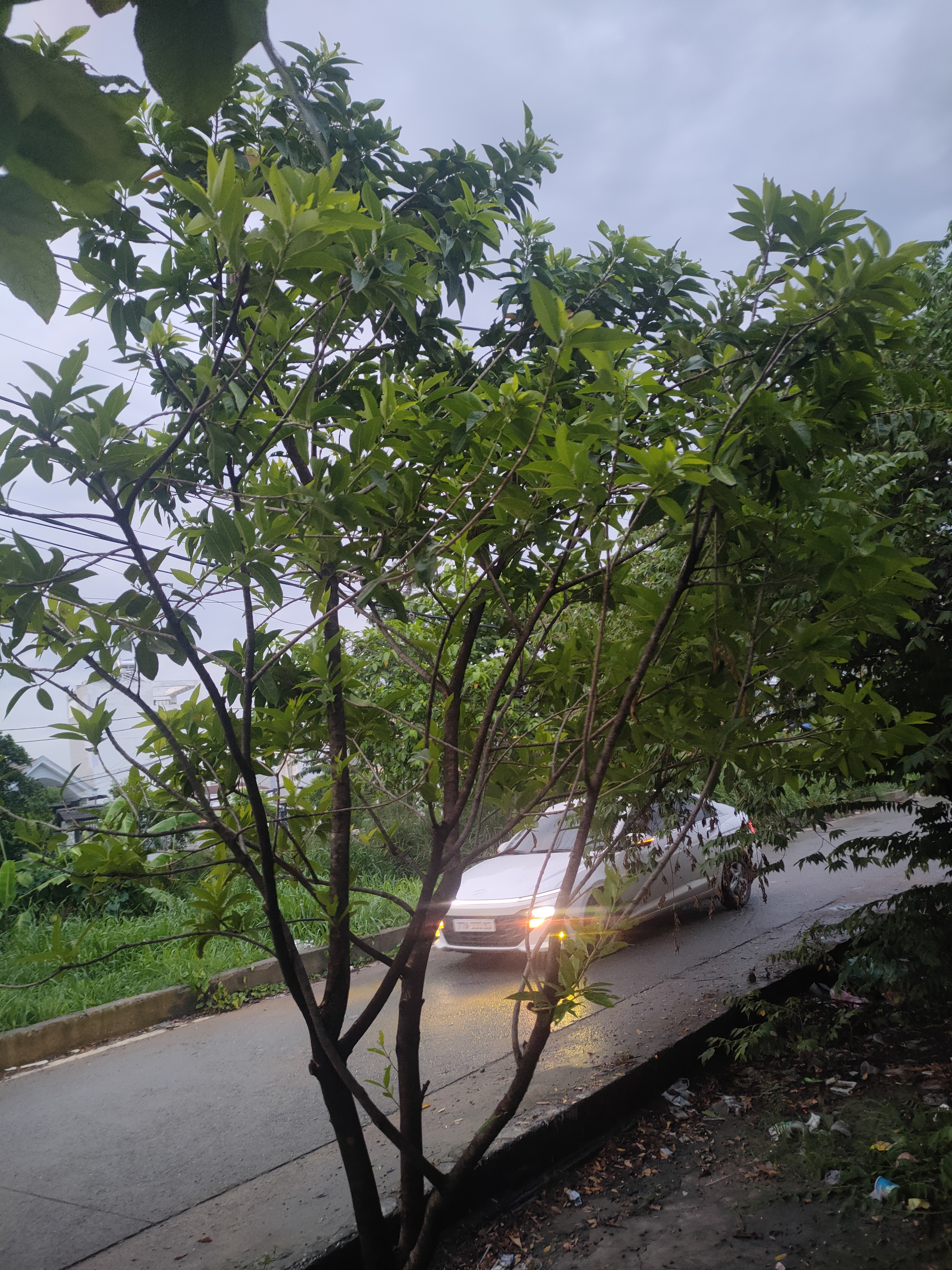 Bài viết của tôi