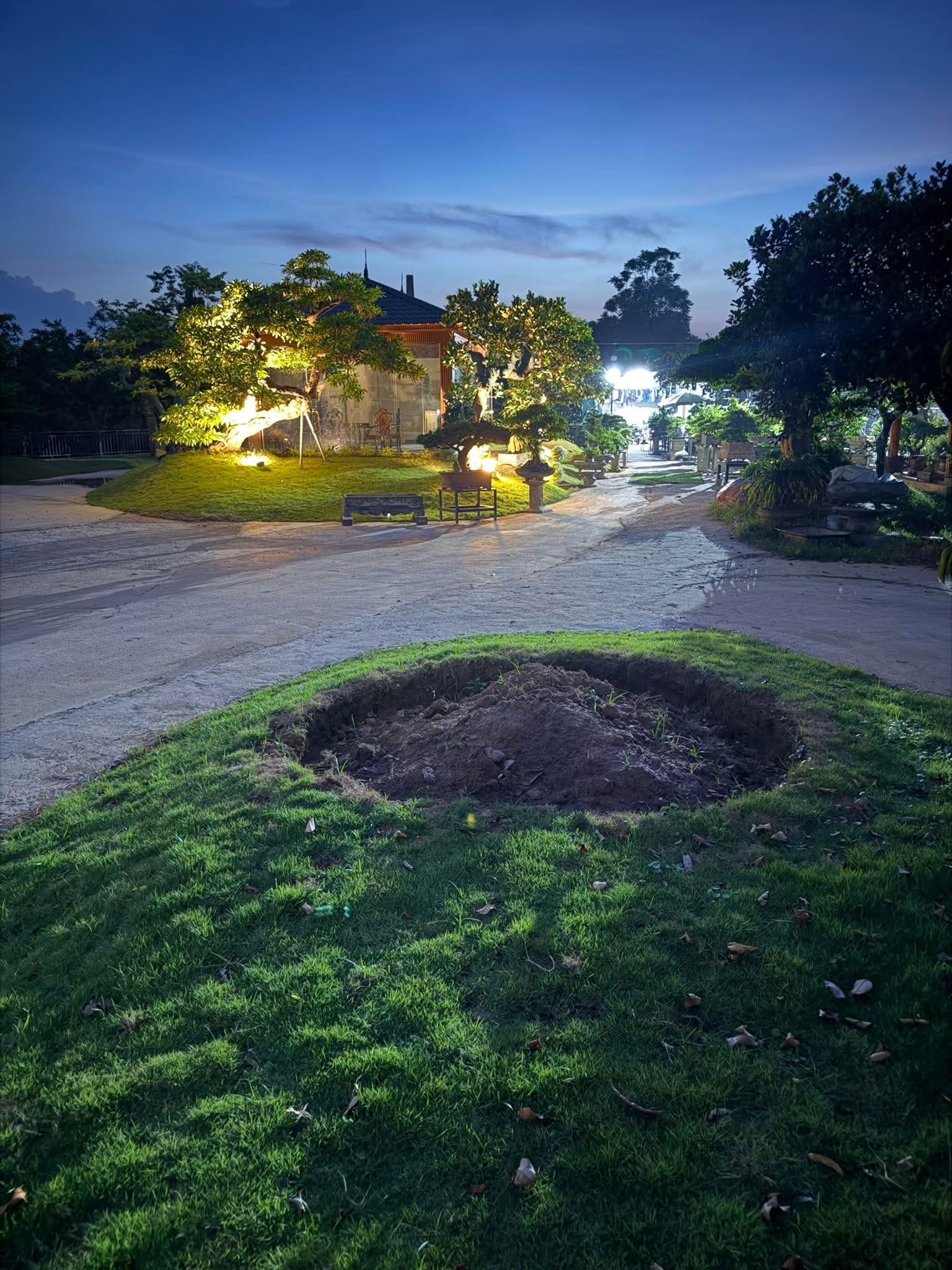 Bài viết của tôi