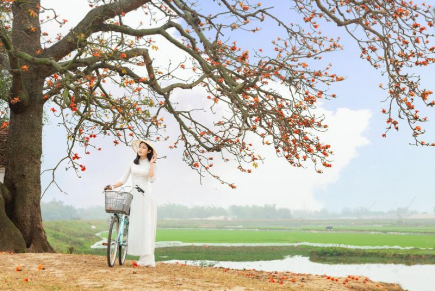 Chạy cùng mùa hoa gạo tháng 3