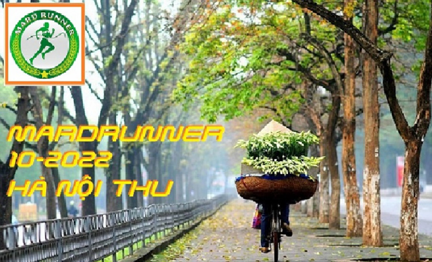 MARD RUNNER 10 - 2022