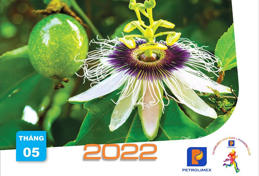 Chào hè cùng Petrolimex NamDinh Tháng 5- 2022