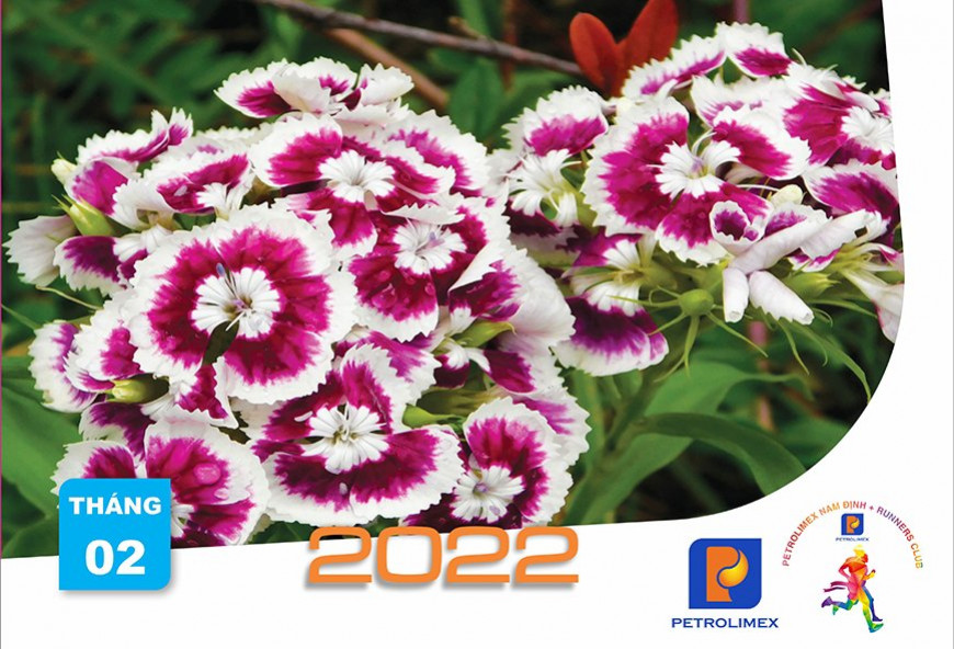 Chào Nhâm Dần cùng Petrolimex NamDinh Tháng 2-2022