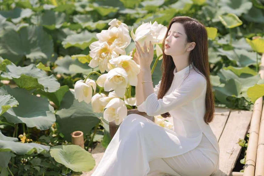Chạy cùng mùa sen tháng 6