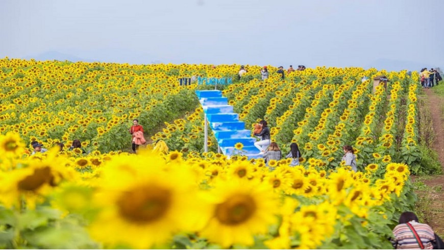PHỦ QUỶ RUNNERS - LONG RUN KHỞI ĐỘNG UPRACE 2021