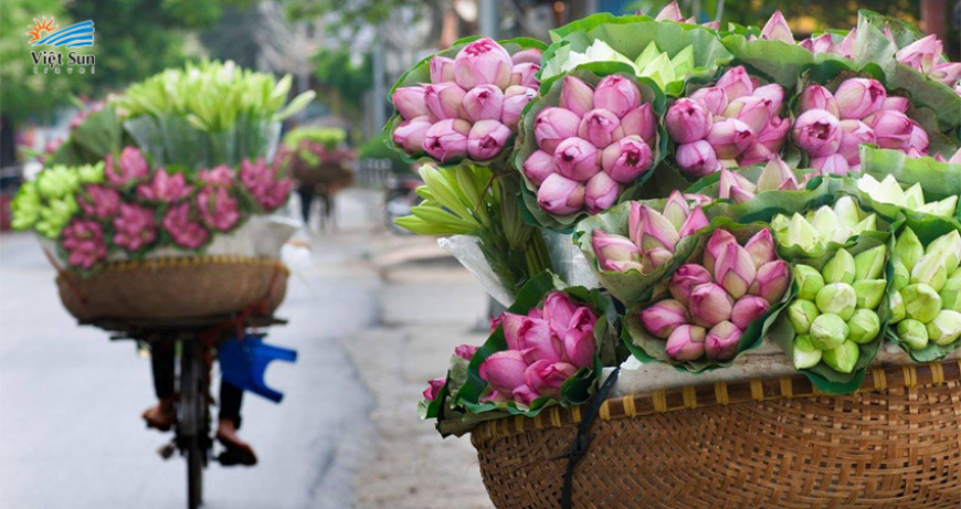 DCR Tháng 6 - Mùa sen quyến rũ khoe sắc