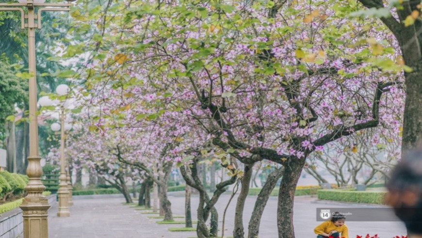 Tháng 3 - Thương nhớ những mùa hoa