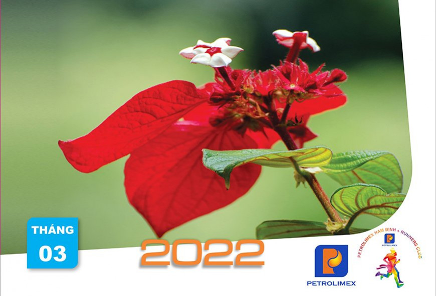 Tăng tốc cùng Petrolimex NamDinh Tháng 3- 2022