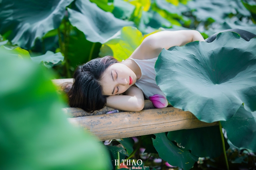 Chạy cùng mùa sen tháng 6