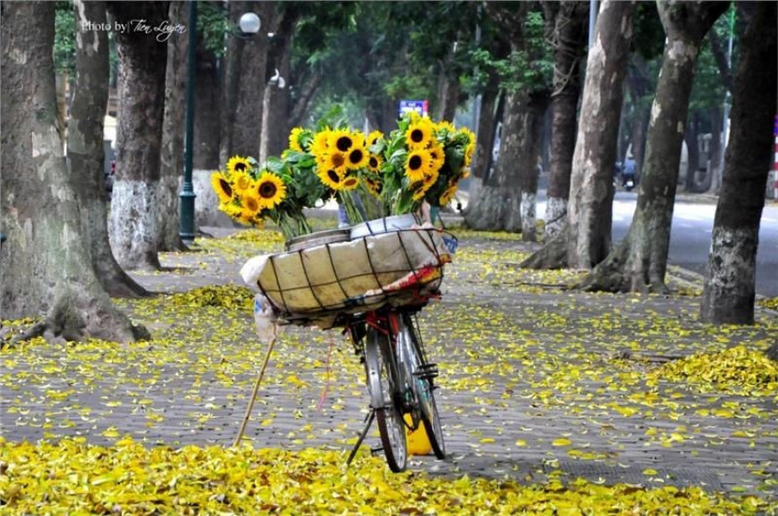 DCR - Hà Nội vào thu