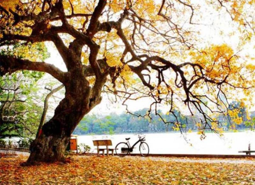 Chạy cùng tháng 8 mùa thu