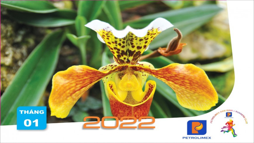 Khởi động cùng Petrolimex NamDinh Tháng 1-2022