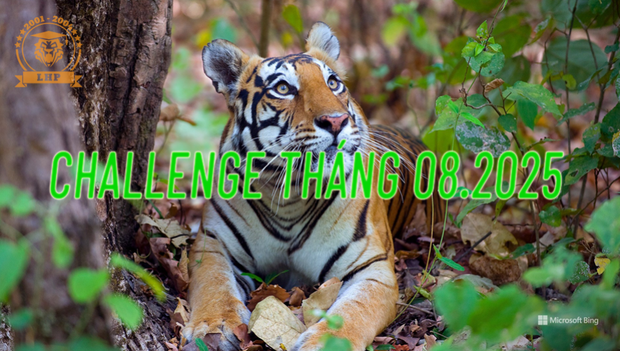 LHPer - CHALLENGE THÁNG 08-2025