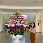 Thuận Nguyễn