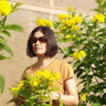 Nguyen Thi Hong Minh