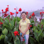 Van pham thi hong
