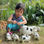 Thức Tinh Tế