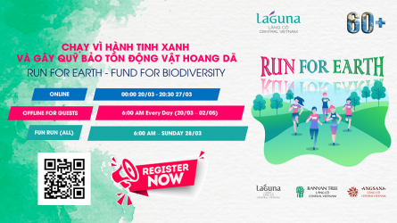 Laguna - Run for Earth 60km -Challenge