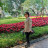Thuy Pham Thi Bich