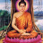 Vũ Phong Vũ Phong