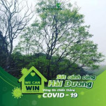 Chu Dieu Huong