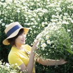 Chi Kim Vu