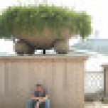 Sd2 - nguyễn sơn tùng