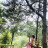 Hương Giang
