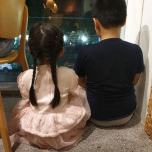 Trần Thị Hồng Hạnh - PC Bến Tre