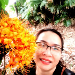 Nguyễn hằng