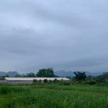 Huệ kiên trì