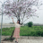 Trà Nguyễn Thúy Trà Nguyễn Thúy