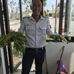 Nguyễn Công