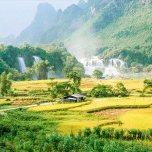 Nguyễn Đức Trung