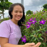 Hoang Lan Hue