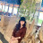Bich Thuy Pham