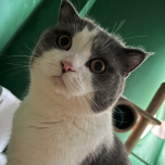 Vũ Thị Phương Thảo